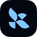 LangChain: the open agent platform to own your intelligence Logo